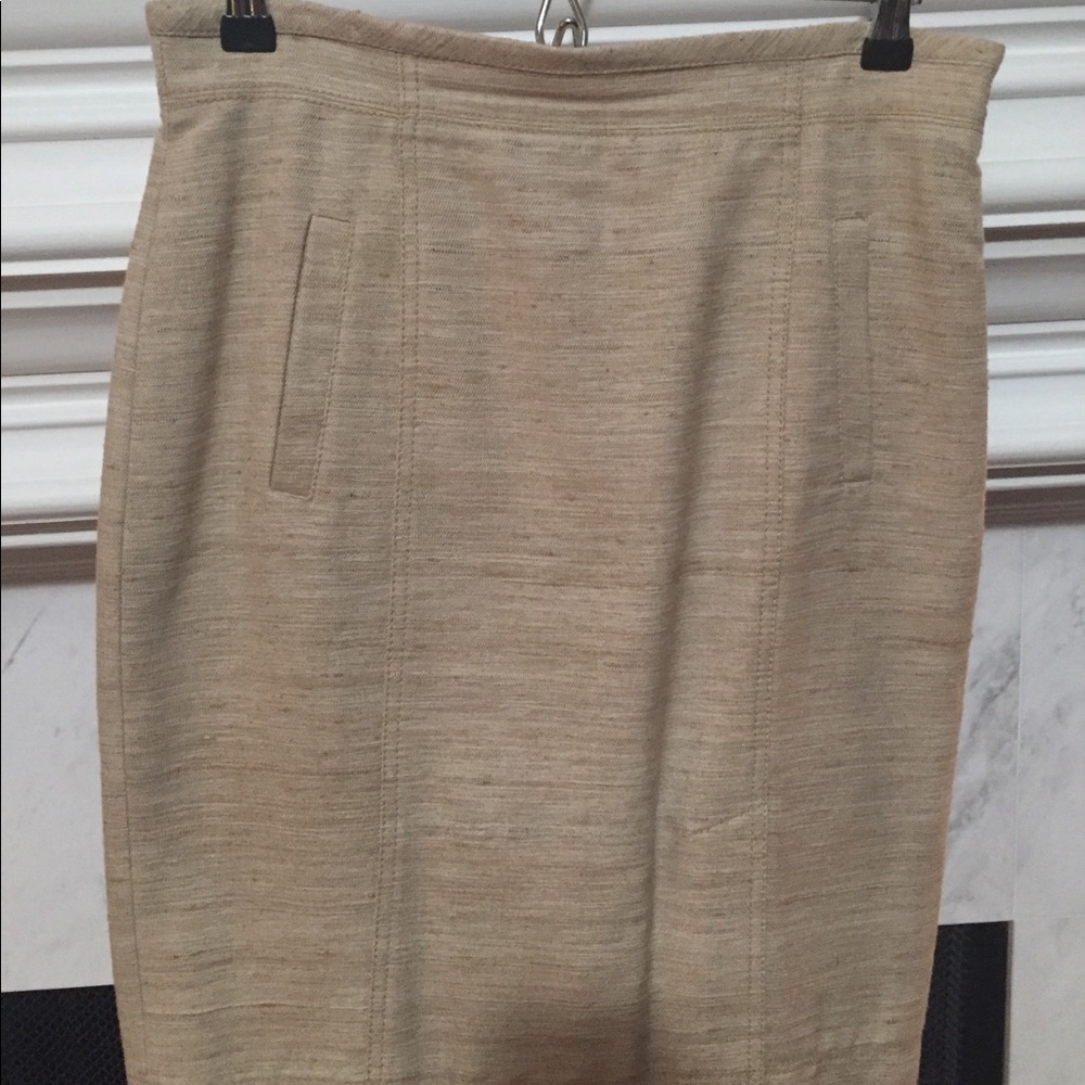 Ann Taylor skirt
